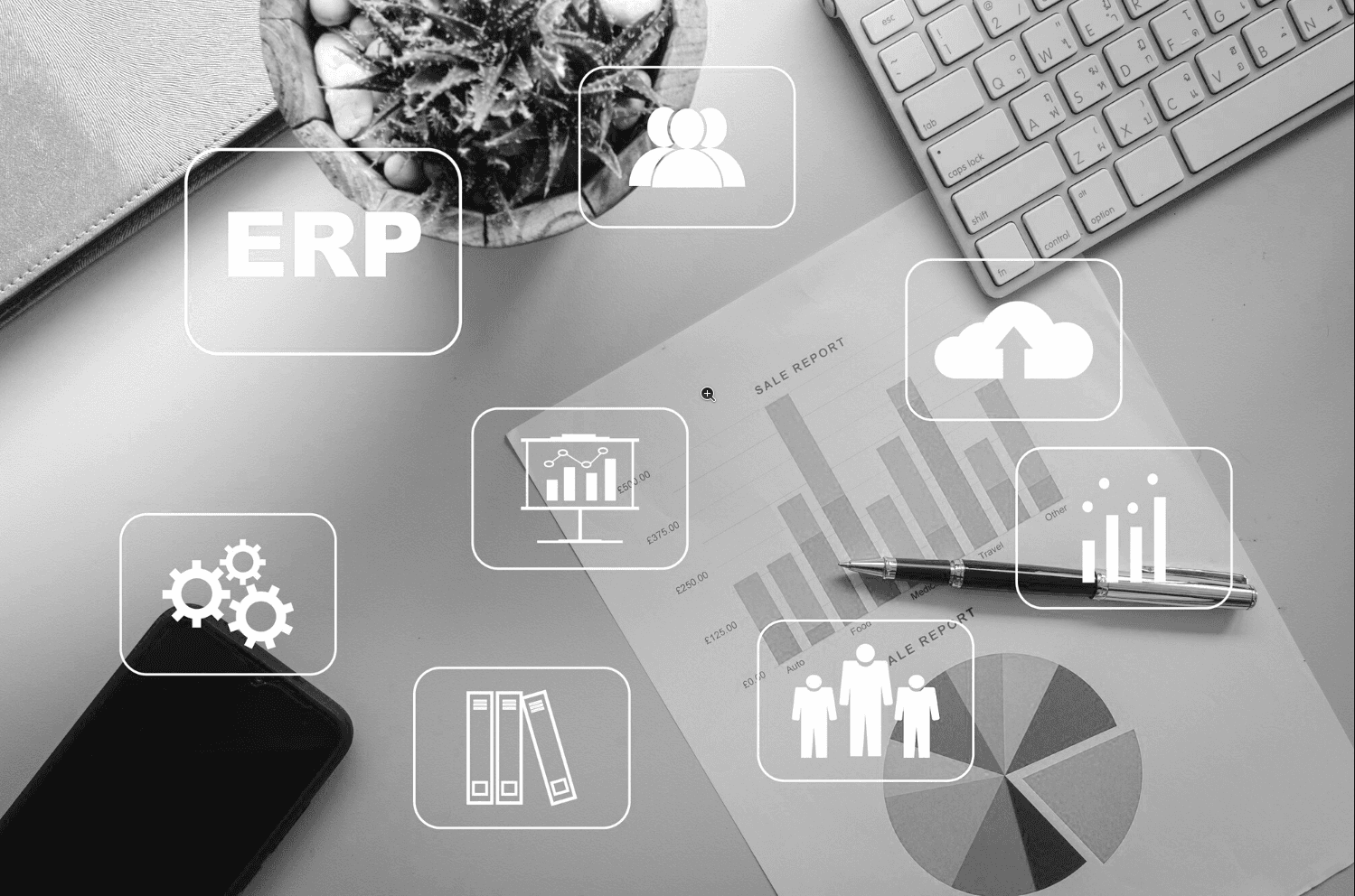 The Hidden Cost of Relying Solely on ERP Reporting